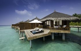 Niva Kuramathi Maldives